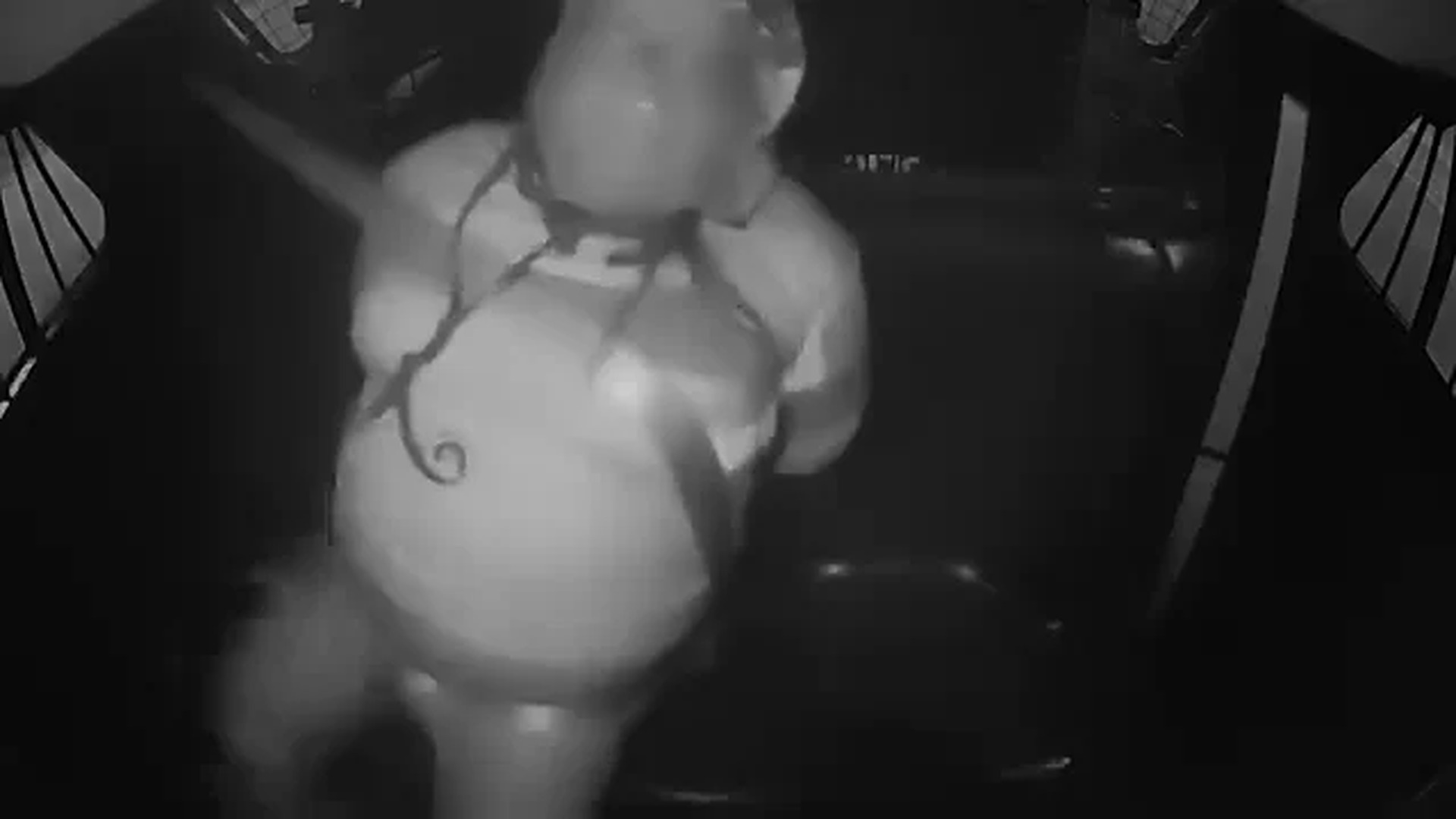 H2207020_279. Lady Has Meltdown After Getting Trespassed