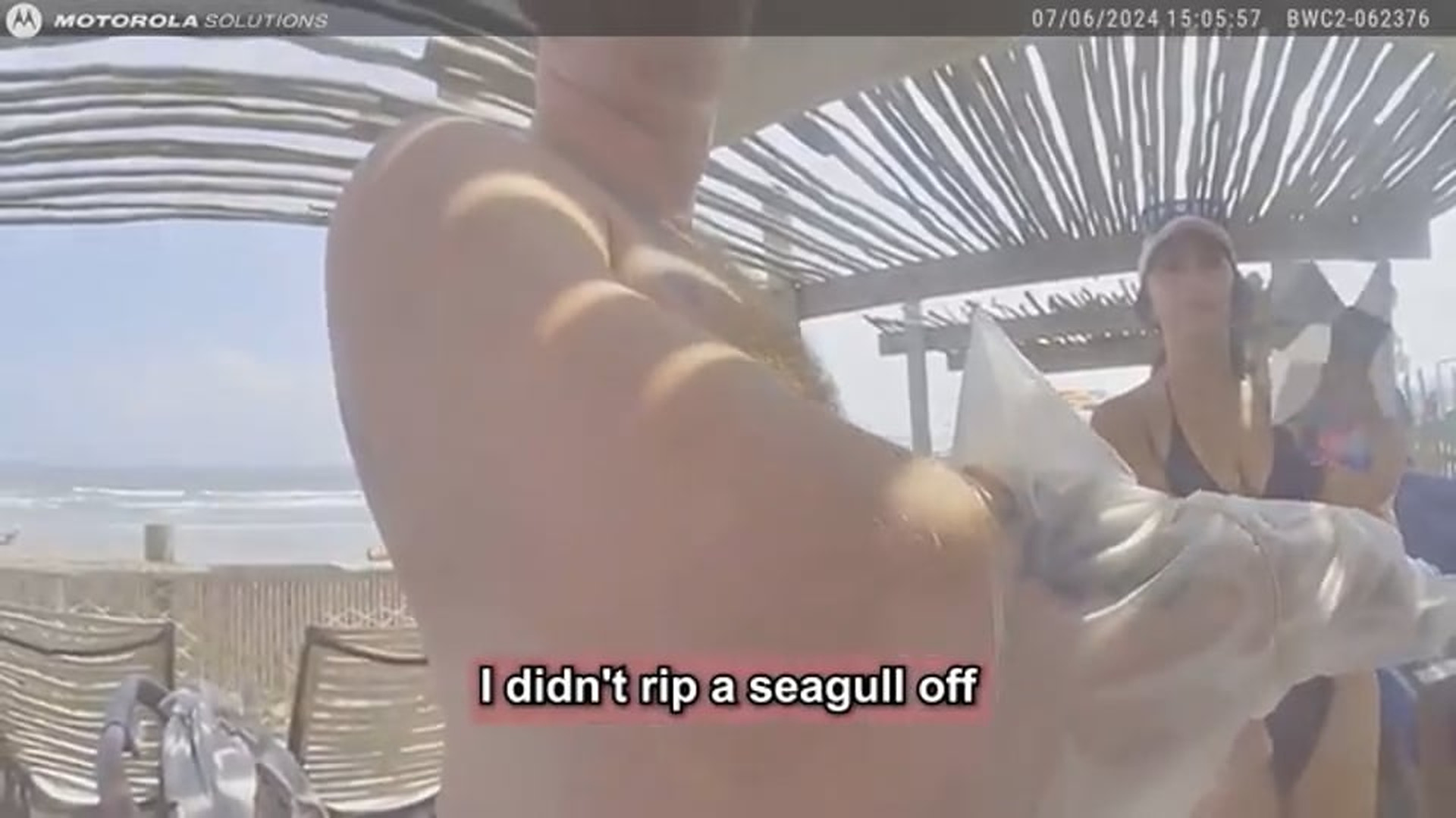 H1709075_4th of July Waterpark Dad Decapitates Seagull Who Takes Daughter's Fries